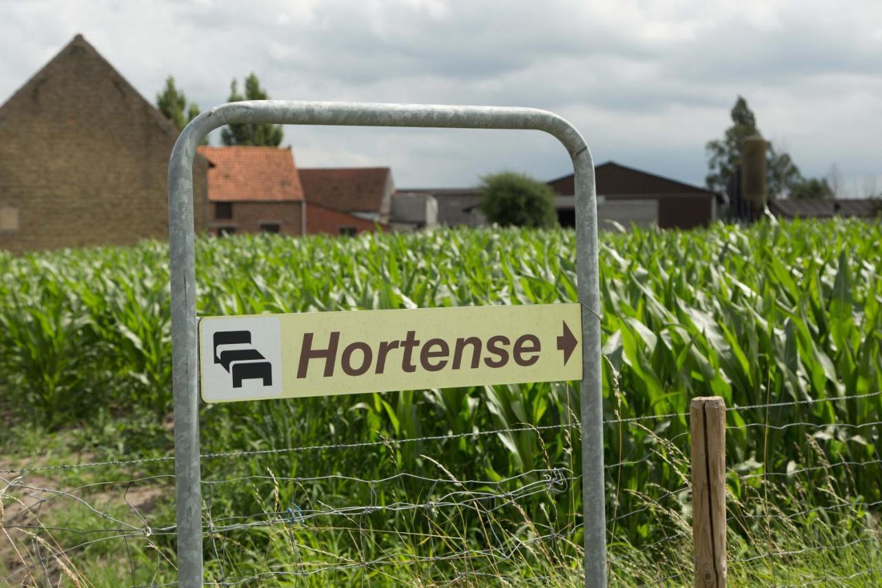 B&B Hortense Koekelare Kültér fotó